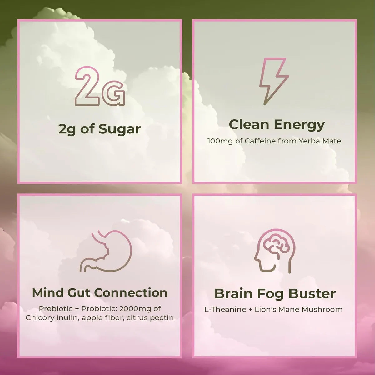 Yerba Magic™ — Polvo Instantáneo de Té de Yerba Mate / Compra 1, Llévate 2
