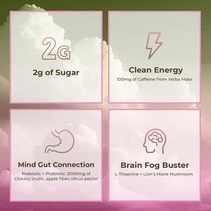 Yerba Magic™ — Polvo Instantáneo de Té de Yerba Mate / Compra 1, Llévate 2